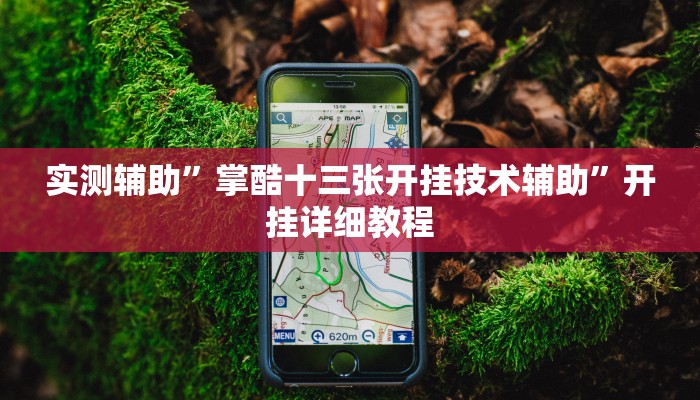 实测辅助”掌酷十三张开挂技术辅助”开挂详细教程