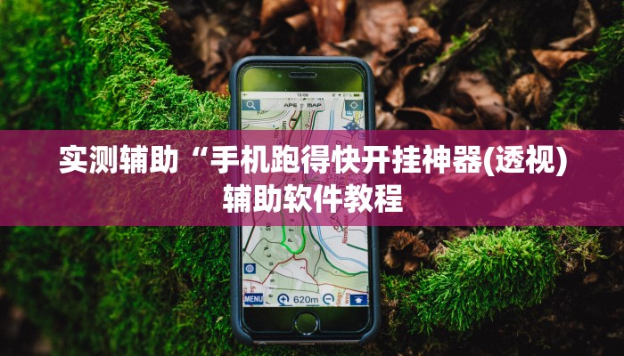 实测辅助“手机跑得快开挂神器(透视)辅助软件教程