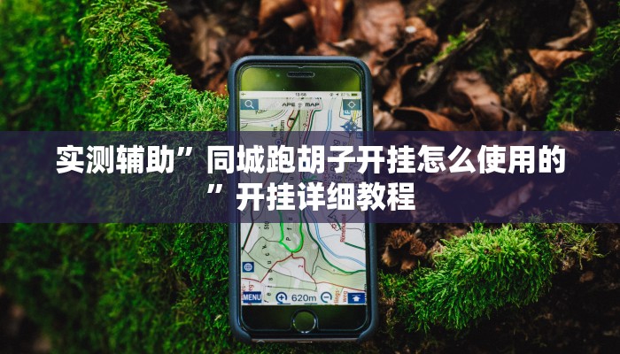 实测辅助”同城跑胡子开挂怎么使用的”开挂详细教程