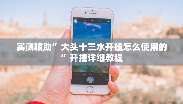 实测辅助”大头十三水开挂怎么使用的”开挂详细教程