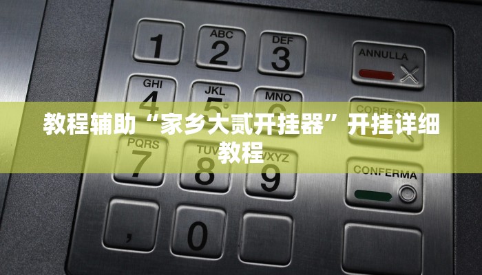 教程辅助“家乡大贰开挂器”开挂详细教程