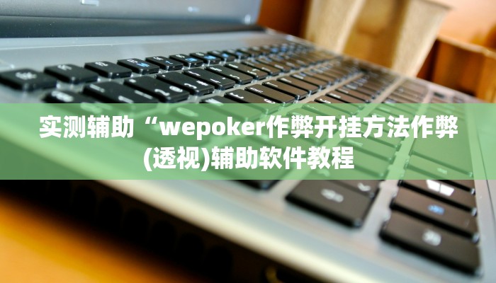 实测辅助“wepoker作弊开挂方法作弊(透视)辅助软件教程