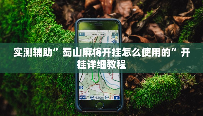 实测辅助”蜀山麻将开挂怎么使用的”开挂详细教程