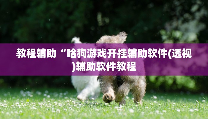 教程辅助“哈狗游戏开挂辅助软件(透视)辅助软件教程