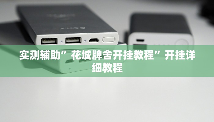 实测辅助”花城牌舍开挂教程”开挂详细教程
