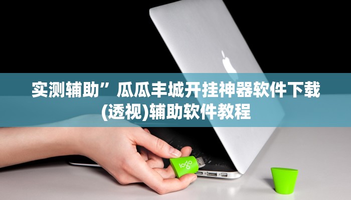 实测辅助”瓜瓜丰城开挂神器软件下载(透视)辅助软件教程
