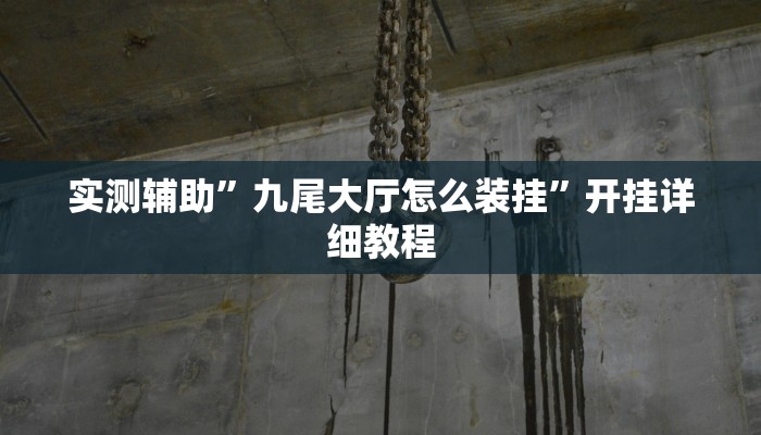 实测辅助”九尾大厅怎么装挂”开挂详细教程