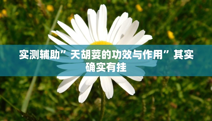 实测辅助”天胡荽的功效与作用”其实确实有挂