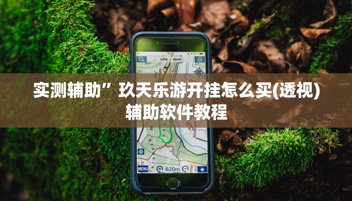 实测辅助”玖天乐游开挂怎么买(透视)辅助软件教程