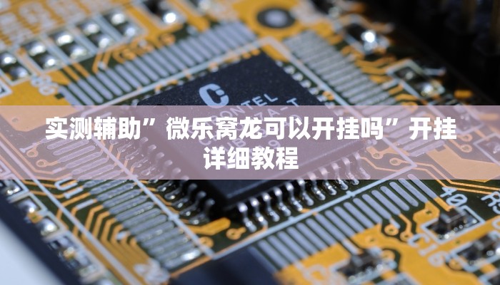 实测辅助”微乐窝龙可以开挂吗”开挂详细教程