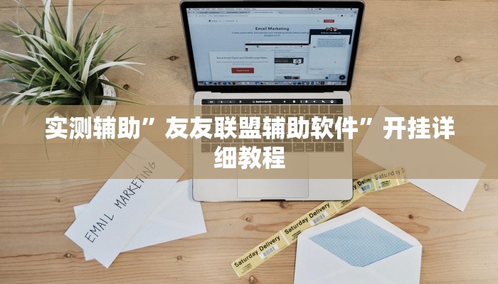 实测辅助”友友联盟辅助软件”开挂详细教程