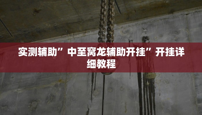 实测辅助”中至窝龙辅助开挂”开挂详细教程