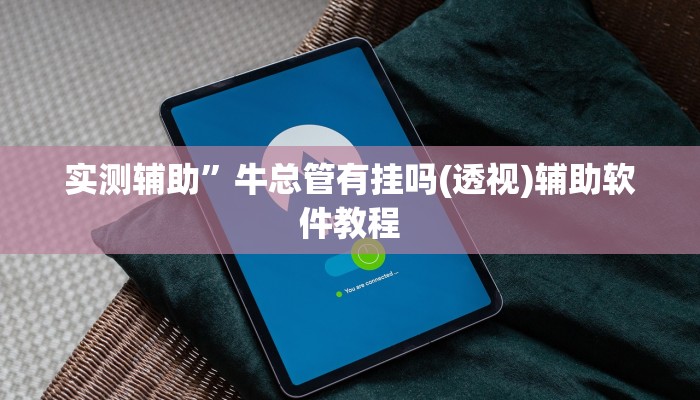 实测辅助”牛总管有挂吗(透视)辅助软件教程